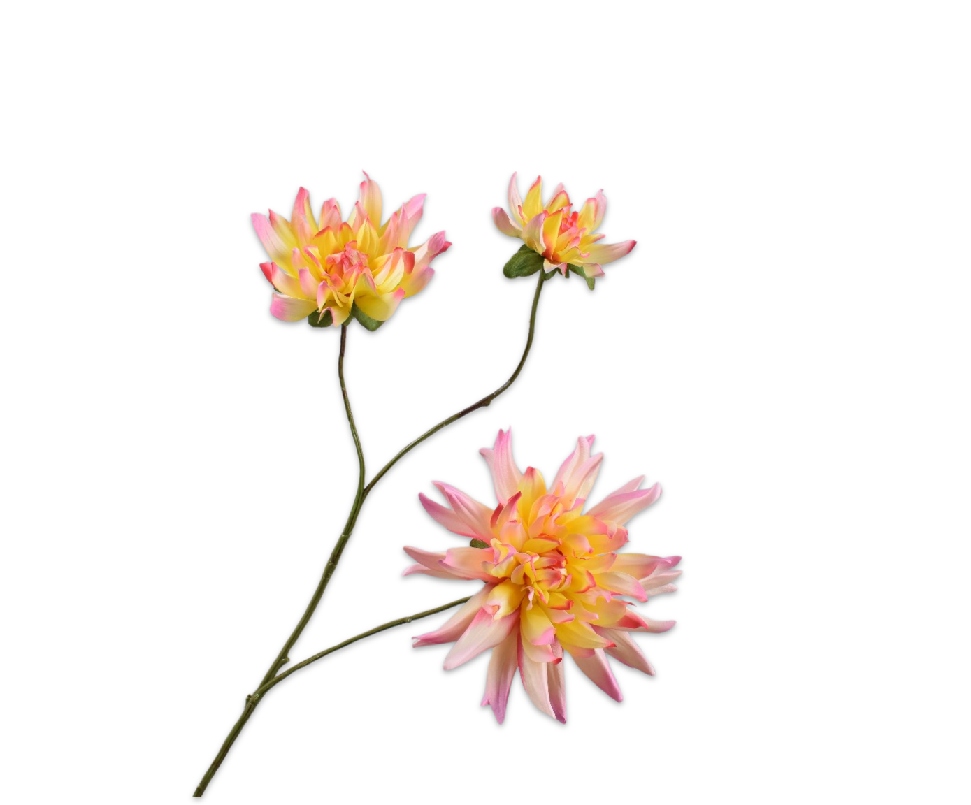 Silk ka dahlia tak roze/geel