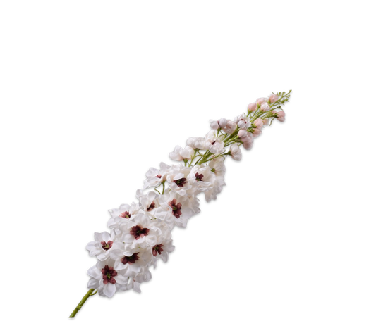 Silk ka lupine crème