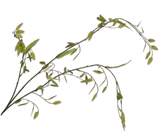 Silk ka gras tak groen