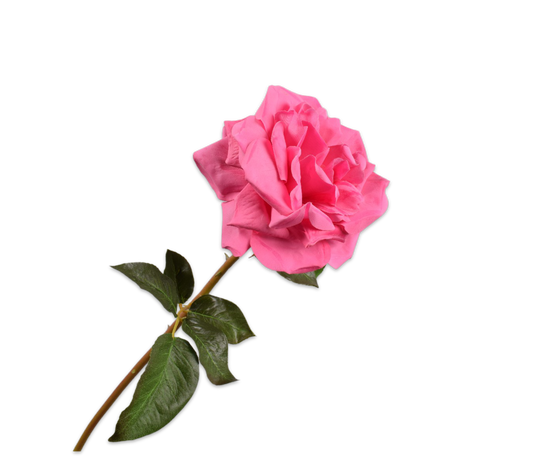 Silk ka Roos steel roze