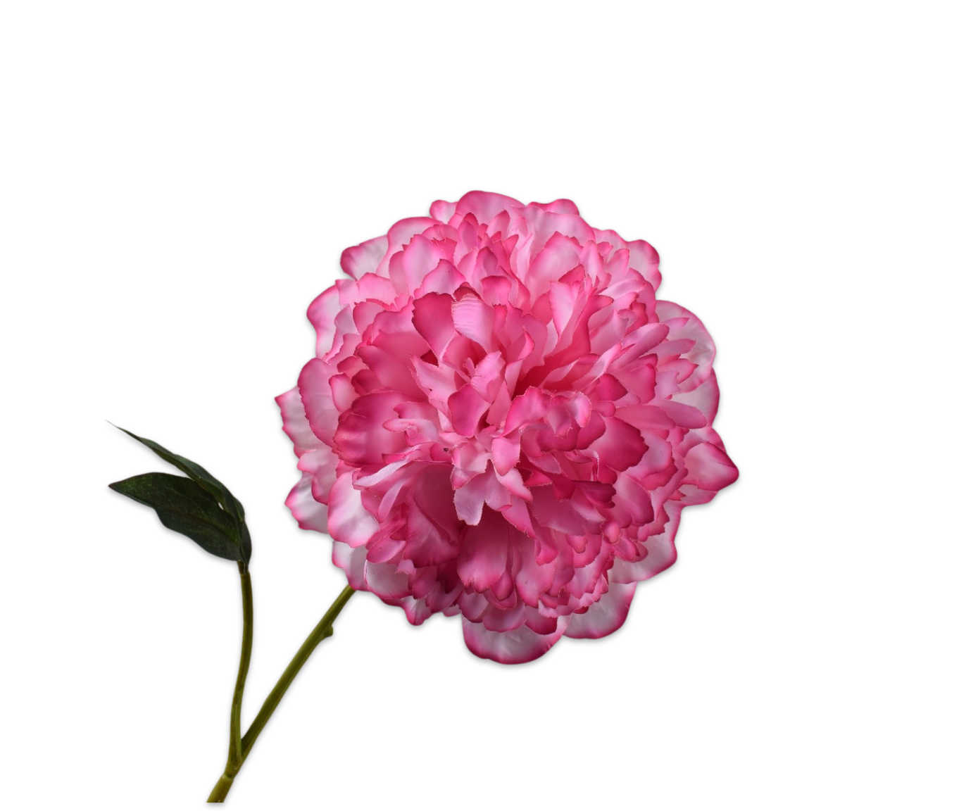 Silk ka pioen steel roze