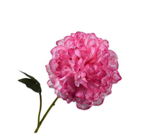 Silk ka pioen steel roze