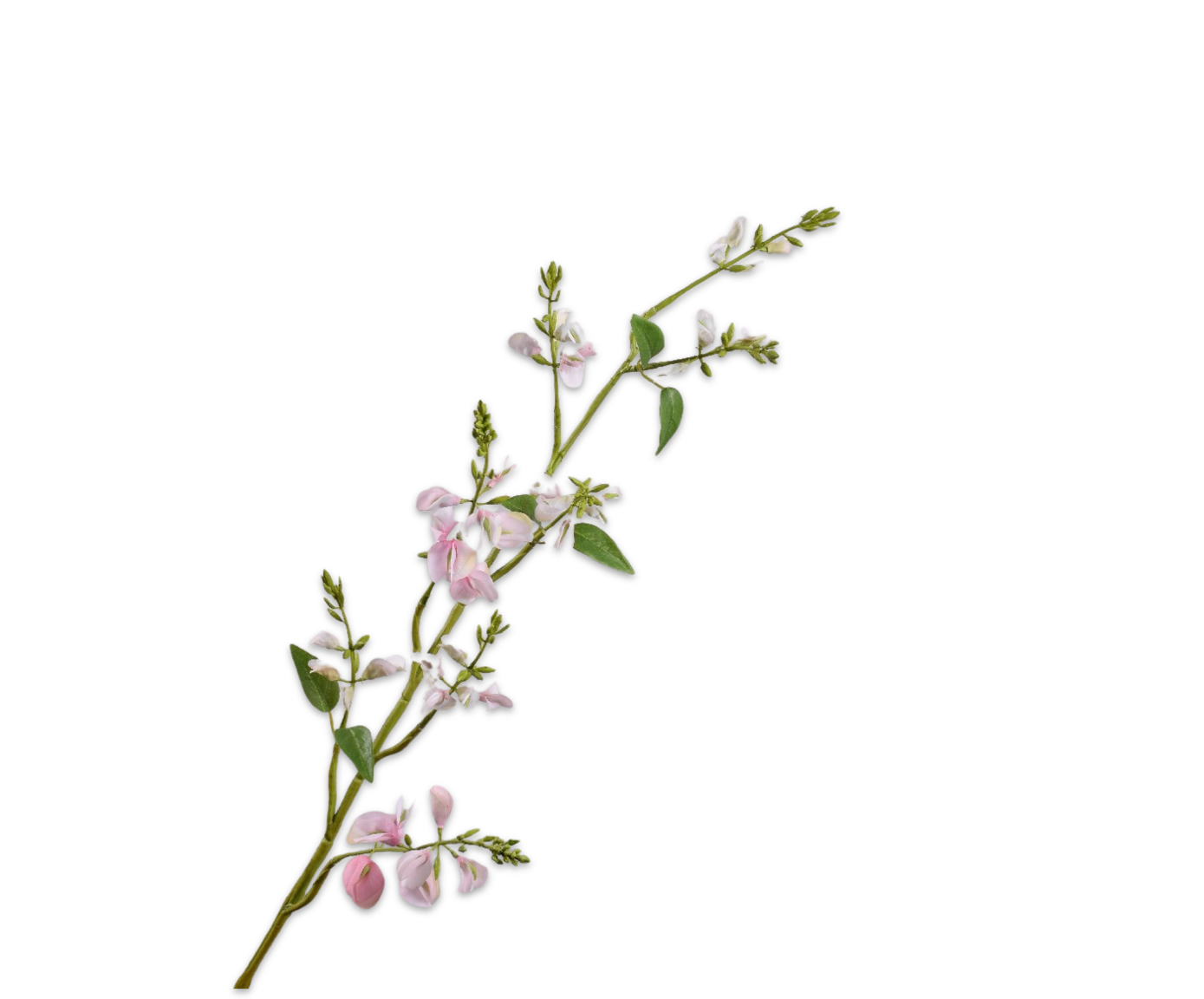 Silk ka lathyrus tak licht roze