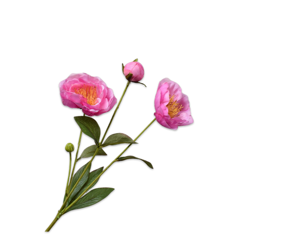 Silk ka pioen tak donker roze