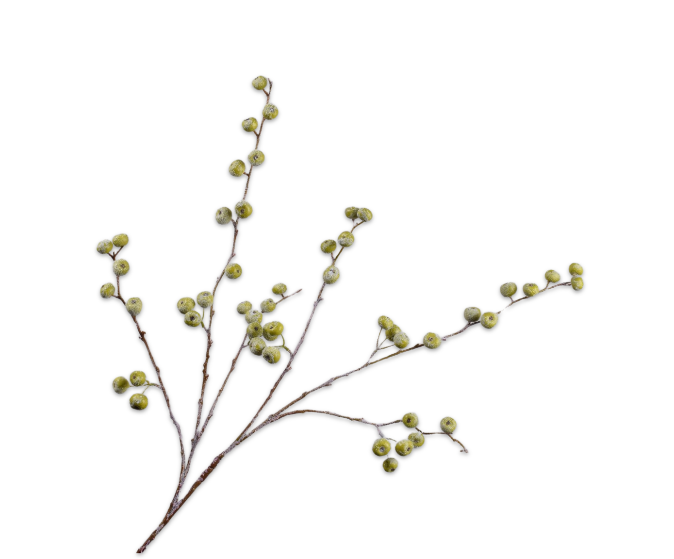 Silk ka appeltak sneeuw groen