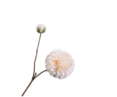 Load image into Gallery viewer, Silk ka dahlia bloem crème