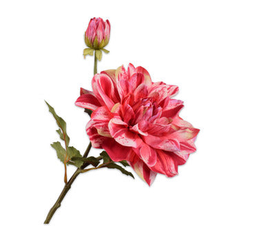 Laad afbeelding in Galery viewer, Silk ka dahlia bloem beauty