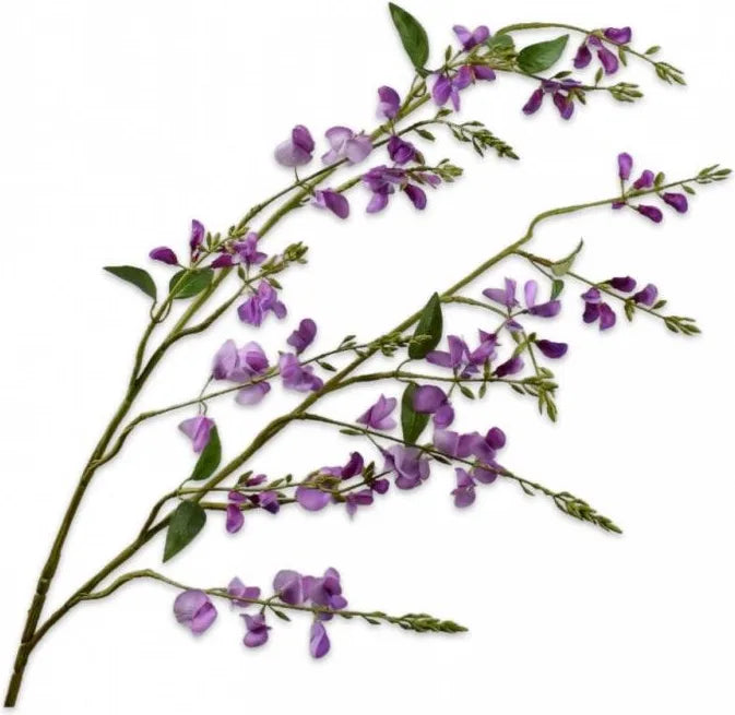 Silk ka lathyrus paars