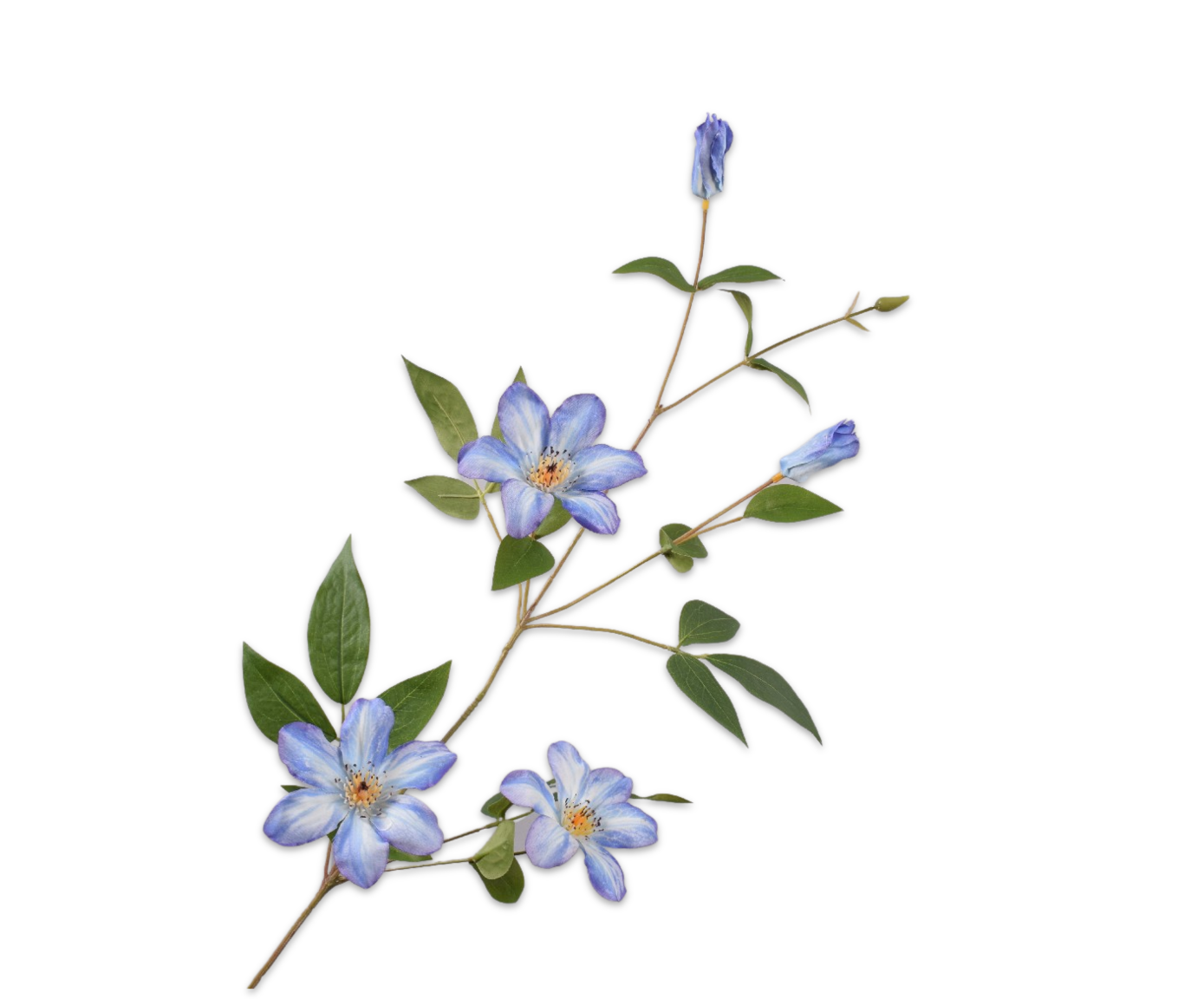Load image into Gallery viewer, Clematis