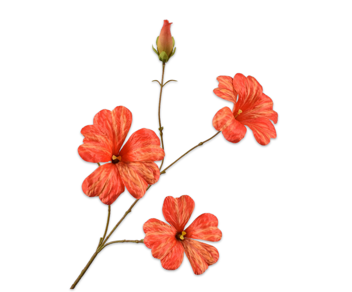 Load image into Gallery viewer, Hibiscus oranje