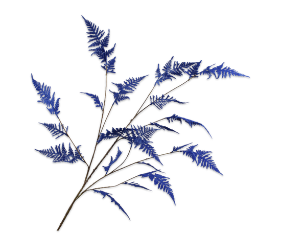 Laad afbeelding in Galery viewer, Asparagus velvet blue
