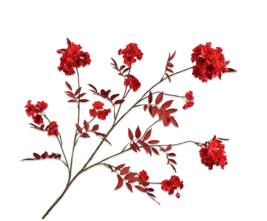 Bloesem tak rood