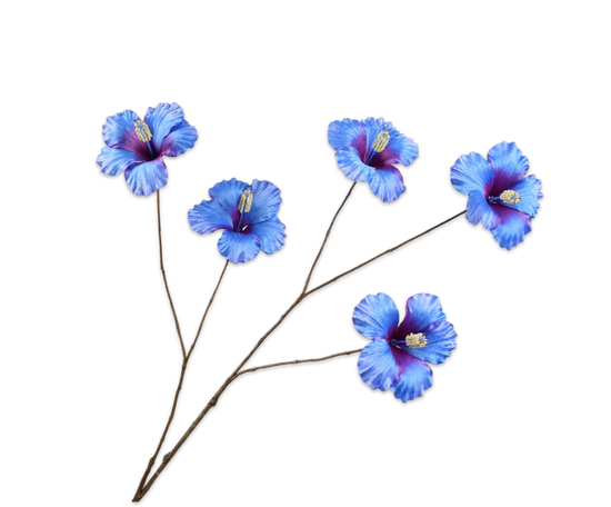 Hibiscus magic blue