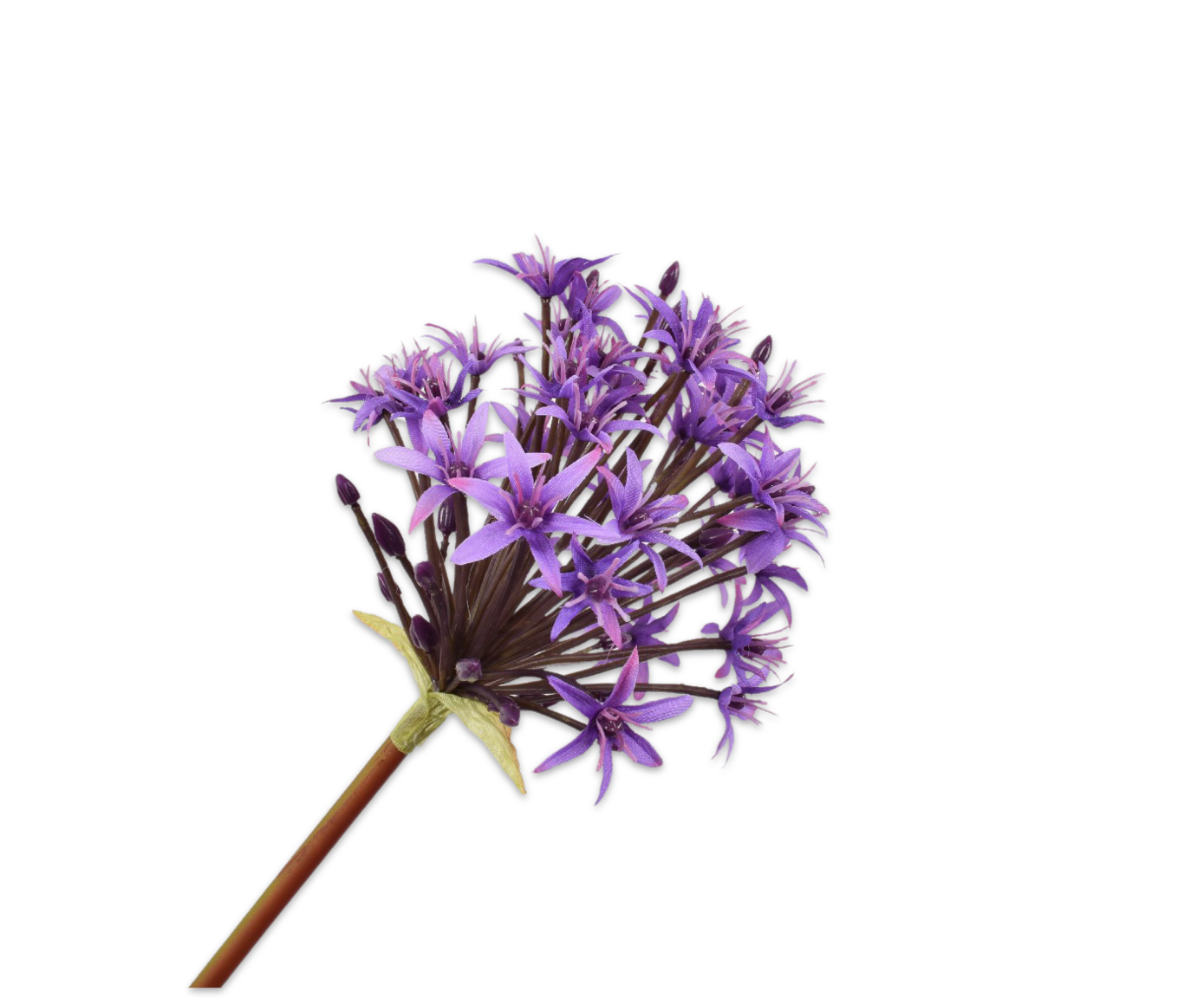 Laad afbeelding in Galery viewer, Allium