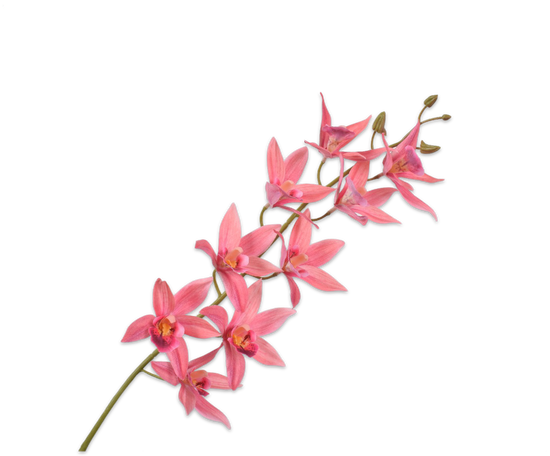 Laad afbeelding in Galery viewer, Cymbidium roze