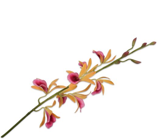 Cattleya geel/roze 105cm