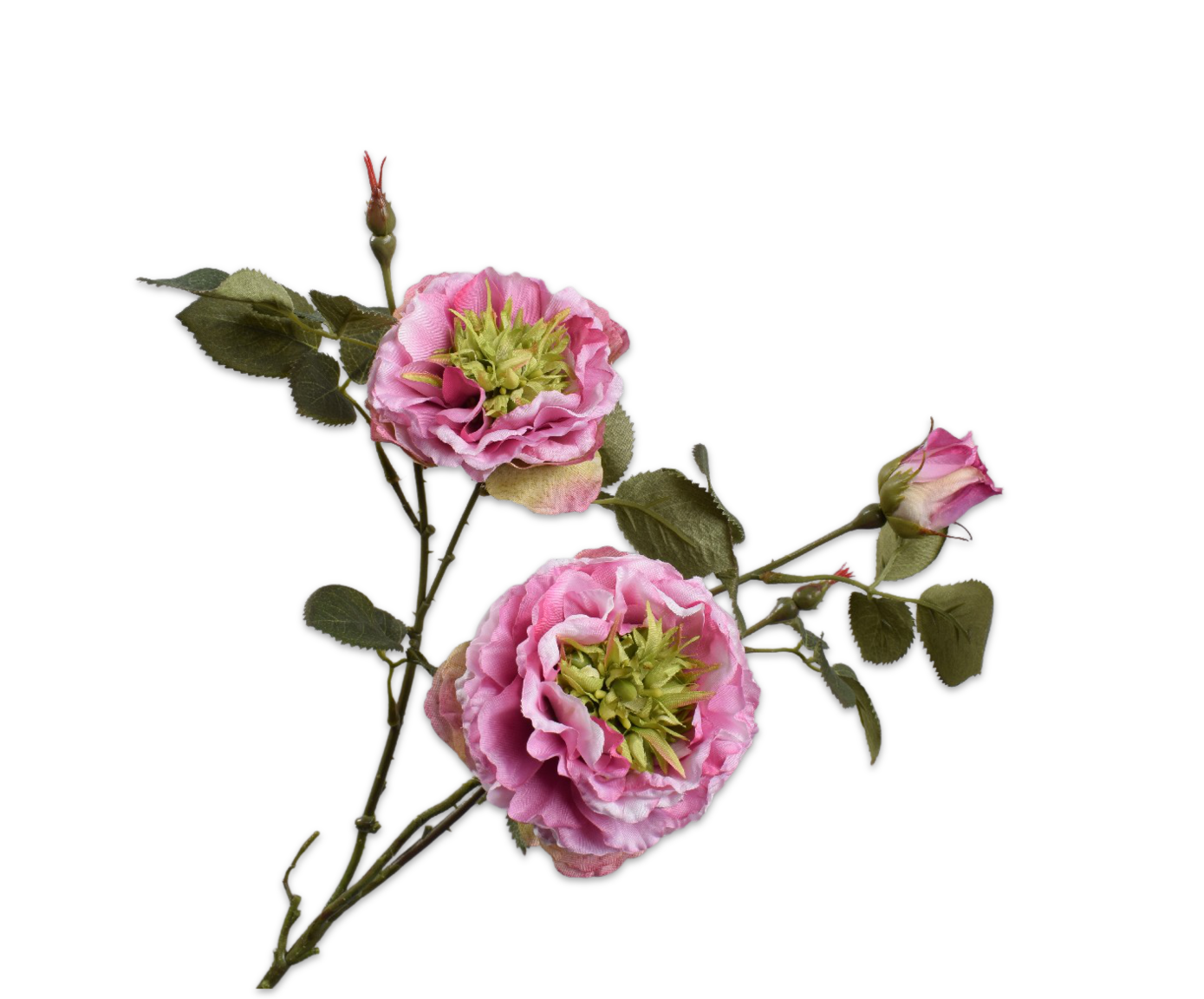 Laad afbeelding in Galery viewer, Wilde roos met grashart lila