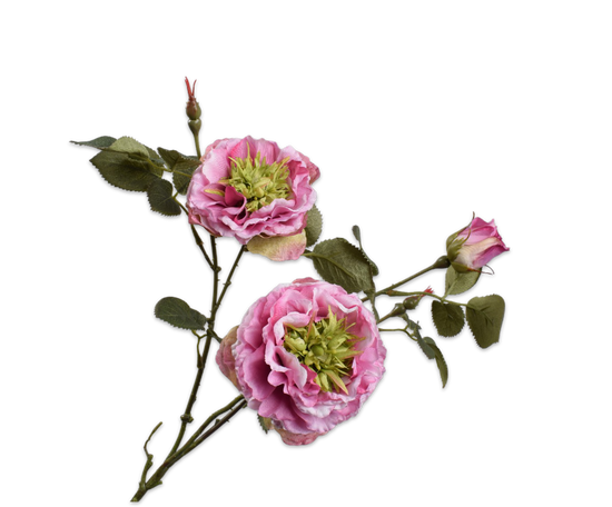 Laad afbeelding in Galery viewer, Wilde roos met grashart lila